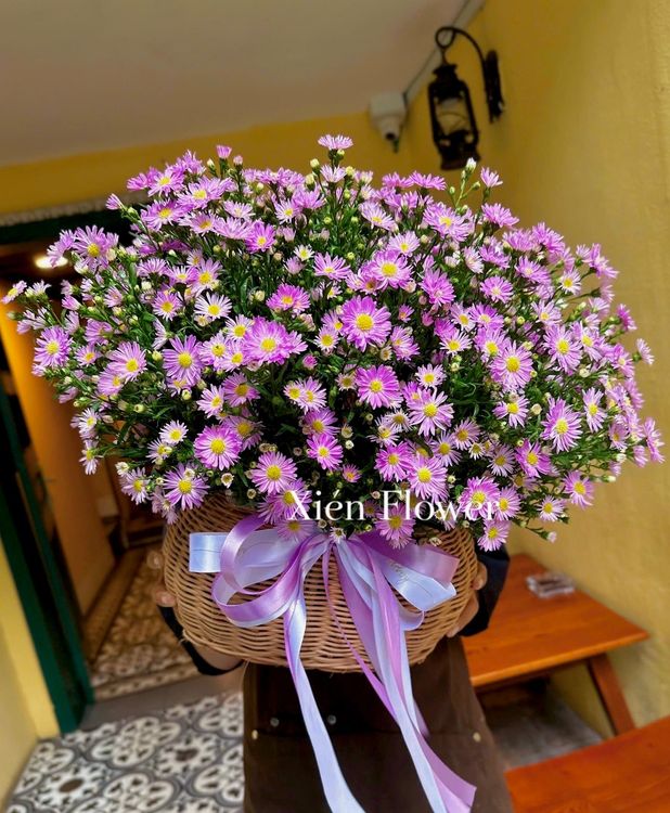 Giỏ Hoa Thạch Thảo Tím